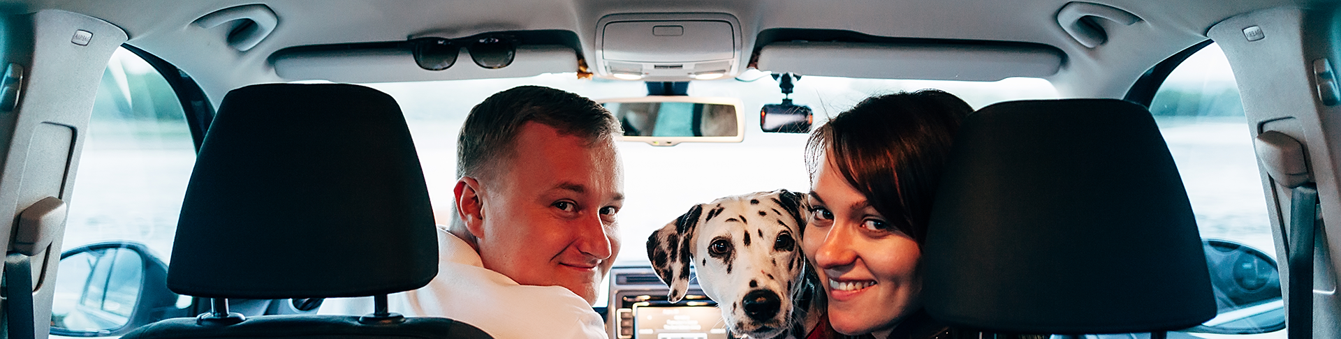 public.contact.title